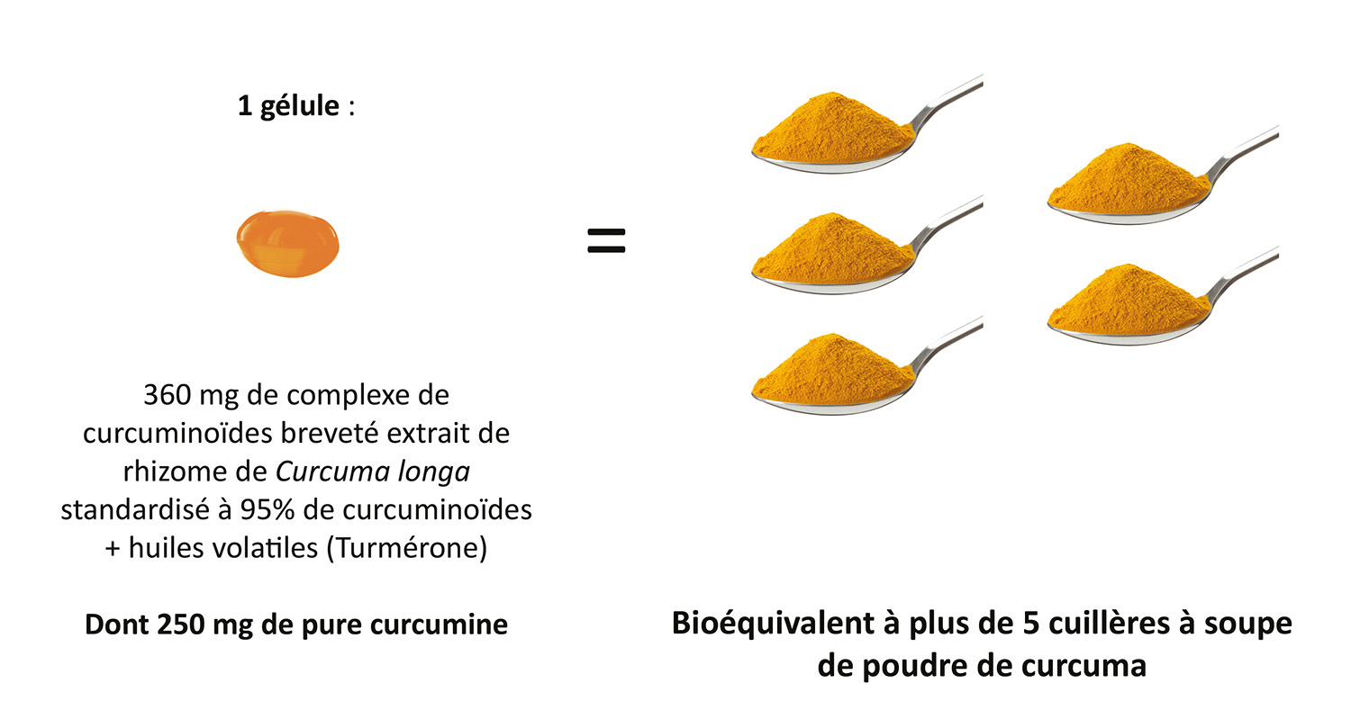 Une gélule softgel de CurcumActif 2 250 mg correspond à 15 cuillères à café ou 5 cuillères à soupe de poudre de curcuma